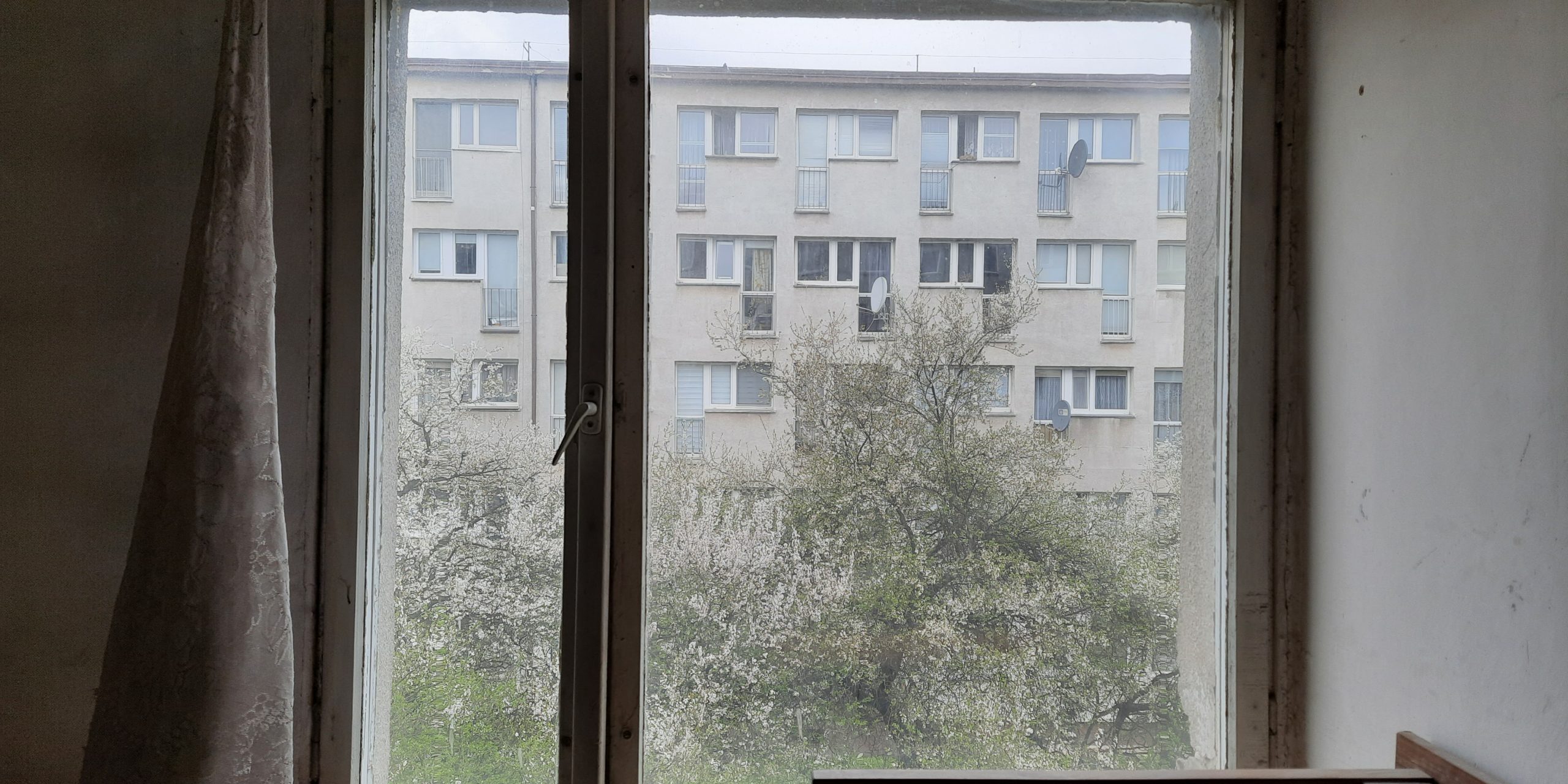 zdjęcie na początek